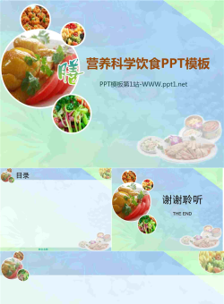 合理膳食保健养生幻灯片模板.ppt[共4张]