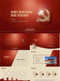 精美党建工作学习汇报PPT模板.pptx[共26张]