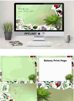 植物相册PPT模板.ppt[共5张]