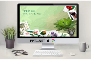 植物相册PPT模板.ppt[共5张]