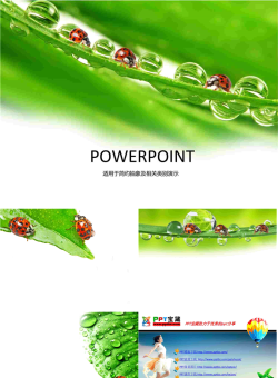 七星瓢虫动物PPT模板.ppt[共5张]