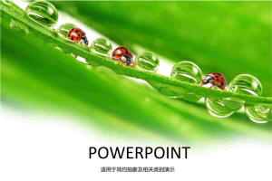 七星瓢虫动物PPT模板.ppt[共5张]
