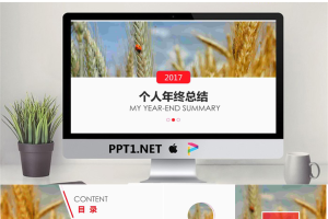 麦穗背景年终总结PPT模板.pptx[共14张]