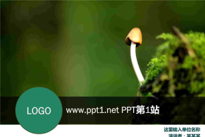 绿色生命力表现PPT模板.pptx[共8张]