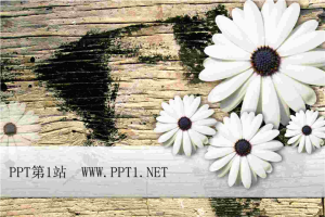 菊花木板背景PPT模板.ppt[共1张]