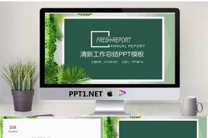 清新绿色植物背景的述职报告PPT模板.pptx[共24张]