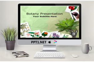 植物PPT模板.pptx[共6张]