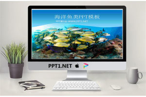 美丽的海底世界鱼群鱼类PPT模板.ppt[共4张]