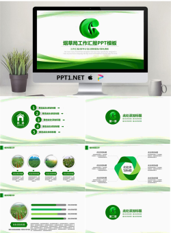 绿色烟草局工作总结计划PPT模板.pptx[共26张]