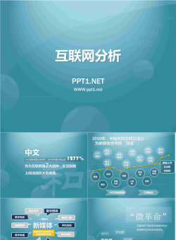 互联网分析PPT.ppt[共7张]
