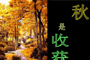 九华山旅游PPT模板.ppt[共1张]