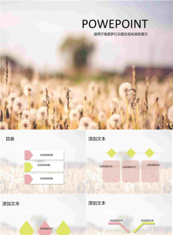 蒲公英唯美PPT模板.ppt[共11张]