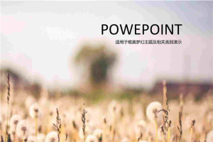 蒲公英唯美PPT模板.ppt[共11张]