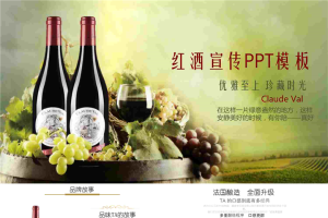 法国红酒宣传PPT模板.pptx[共24张]