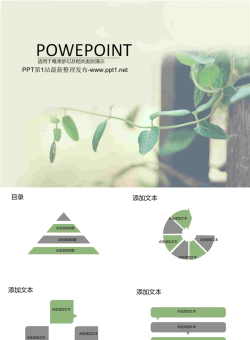 动感时尚绿色藤条PPT模板.ppt[共8张]