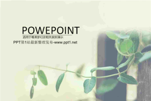 动感时尚绿色藤条PPT模板.ppt[共8张]