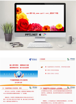 中国电信迎接上级检查PPT模板.ppt[共16张]