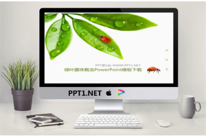 清新绿叶露珠七星瓢虫背景PPT模板.pptx[共6张]
