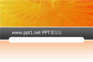 黄色菊花背景PPT模板.ppt[共6张]
