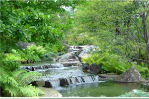 自然风景PPT模板.ppt[共1张]