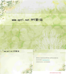 淡雅百合花PPT模板.ppt[共3张]
