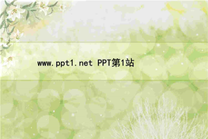 淡雅百合花PPT模板.ppt[共3张]