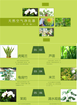 11种天然室内净化空气植物PPT模版.ppt[共13张]