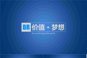 “价值与梦想”销售工作总结PPT模板.pptx[共10张]