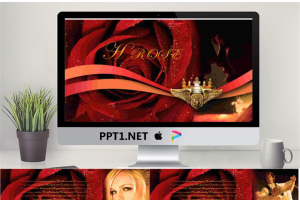 玫瑰情人节PPT模板.ppt[共3张]