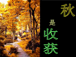 九华山旅游PPT模板.ppt[共1张]