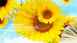 葵花朵朵感恩教师节PPT模板.ppt[共1张]