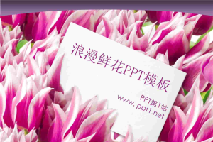 漂亮郁金香PPT模板.ppt[共6张]
