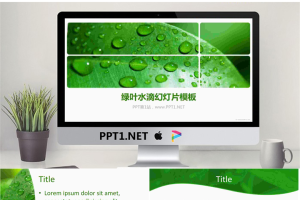 绿色清新的叶子水滴PowerPoint模板.ppt[共5张]