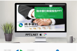 硬币背景的瑞丰银行数据报告PPT模板.pptx[共22张]