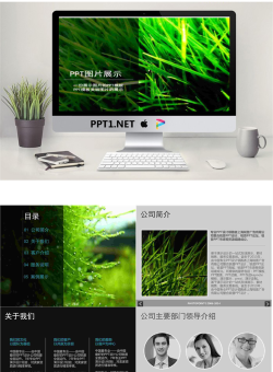 公司介绍清新风格商务简约PPT模板.pptx[共10张]