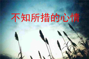 向女生表白的PPT模版.ppt[共15张]