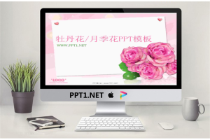 淡雅牡丹花月季花背景PowerPoint模板.ppt[共21张]