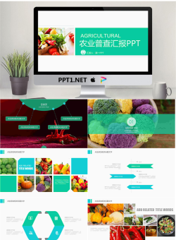绿色蔬菜农产品PPT模板免费.pptx[共22张]