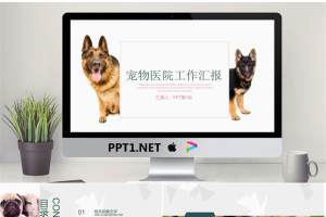 牧羊犬背景的宠物医院PPT模板.pptx[共22张]