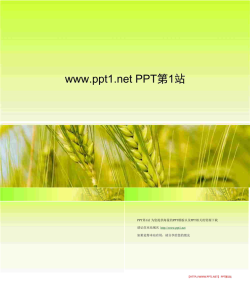 秋天收获麦穗PPT模板.ppt[共3张]