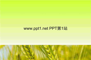秋天收获麦穗PPT模板.ppt[共3张]