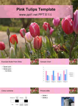 郁金香PPT模板.ppt[共6张]