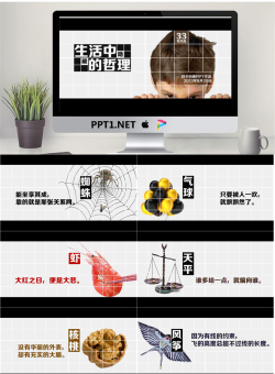 优秀PPT作品欣赏：生活中隐藏的哲理.pptx[共16张]