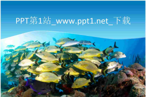 漂亮的海底世界PPT模板.ppt[共4张]