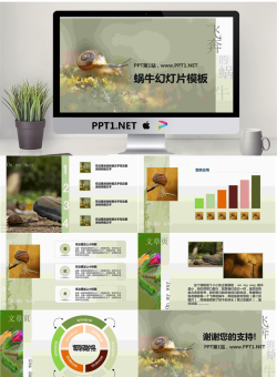 清新淡雅的蜗牛PowerPoint模板.pptx[共7张]