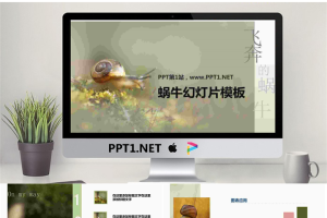 清新淡雅的蜗牛PowerPoint模板.pptx[共7张]