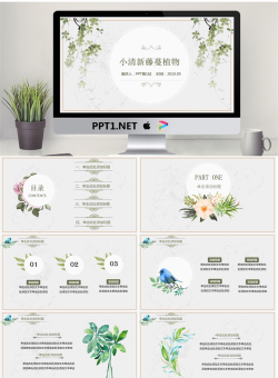 精致淡雅清新绿色藤蔓植物背景PPT模板.pptx[共21张]