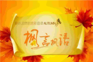 枫言风语栏目艺术幻灯片模板.ppt[共1张]