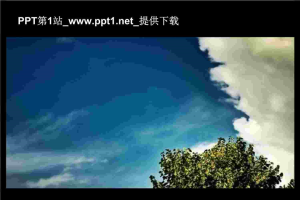 动态鸽子飞过效果PPT模板.ppt[共1张]