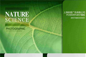 绿叶条纹PPT模板.ppt[共8张]